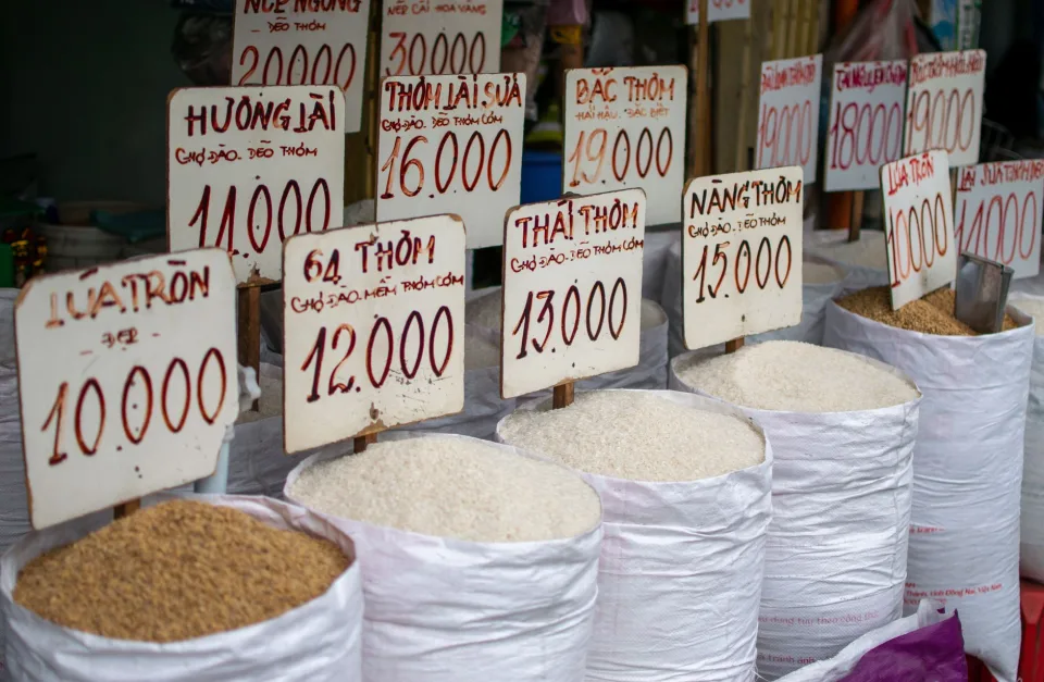 Các loại gạo bán chạy